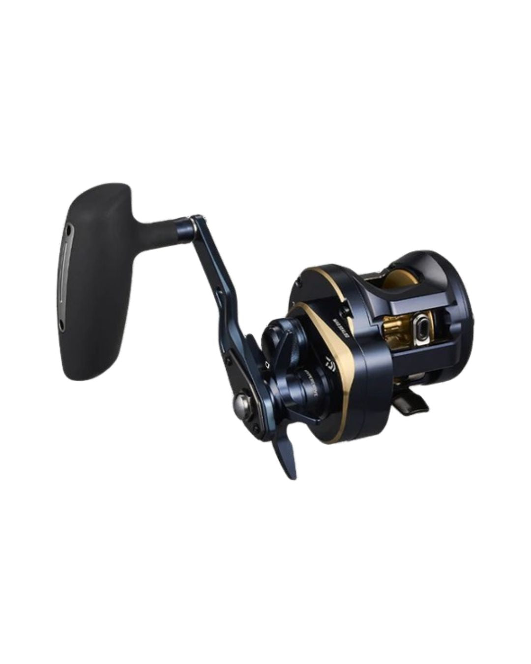 Daiwa 25 Saltiga 300h