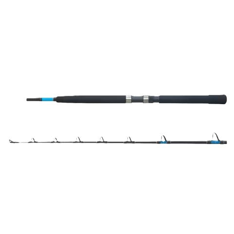 Shimano 25 Aqua Tip Overhead Rod