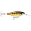 Rapala Shad Rap Elite 55mm Hard Body Lure [cl:gilded Copper Perch]