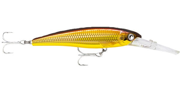 Rapala Saltwater X-rap Deep 11cm Lure [cl:golden Alburnus]