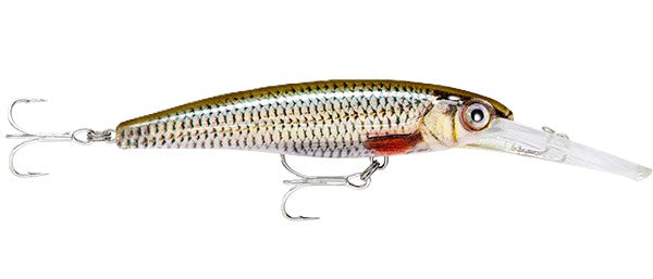 Rapala Saltwater X-rap Deep 11cm Lure [cl:live Roach]