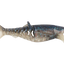 Rapala Crush City Infiltrator 3 Inch Soft Plastic Lure [cl:real Shad]