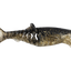 Rapala Crush City Infiltrator 5 Inch Soft Plastic Lure [cl:black Gold]