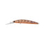 Daiwa Double Clutch Izm 75sr Lure [cl:brown Suji Uv]