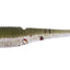 Daiwa Bait Junkie 2.95 Inch Flick Soft Plastic Lure [cl:#58 Red Herring]