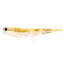Daiwa Bait Junkie 3 Inch Prawn [cl:#45 Clear Gold]