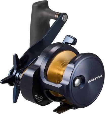 Daiwa Saltiga 25 (g) [sz:35l]