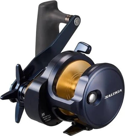 Daiwa Saltiga 25 (g) [sz:35l]