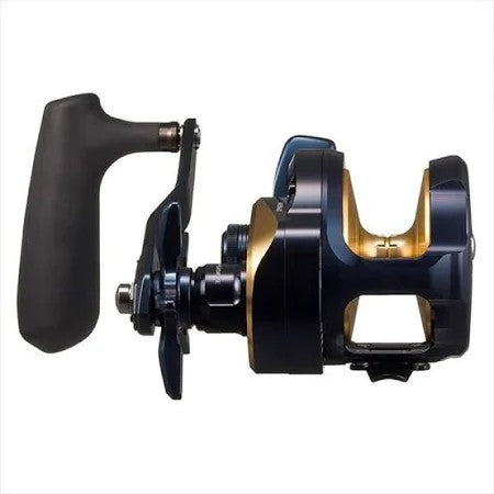 Daiwa Saltiga 25 (g) [sz:35l]