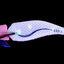 Daiwa Emeraldis Amorous Joint #2.5 Squid Jig Lure [cl:sakura]