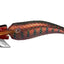 Daiwa Emeraldis Amorous Joint #2.5 Squid Jig Lure [cl:raging Red]