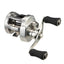 Daiwa 26 Ryoga Baitcast Reel [sz:150p]