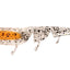 Daiwa Bait Junkie 3 Inch Prawn Soft Plastic Lure [cl:nipper Uv]