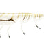 Daiwa Bait Junkie 7 Inch Prawn Soft Plastic Lure [cl:#92 Albino]