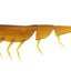 Daiwa Bait Junkie 4 Inch Prawn Soft Plastic Lure [cl:#1 Motor Oil Uv]