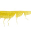 Daiwa Bait Junkie 4 Inch Prawn Soft Plastic Lure [cl:#22 Bloodworm Uv]