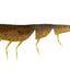 Daiwa Bait Junkie 4 Inch Prawn Soft Plastic Lure [cl:#25 Mud Blood Uv]