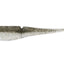 Daiwa Bait Junkie 5 Inch Jerkshad Soft Plastic Lure [cl:#79 Greenback]