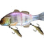 Jackall Gantarel 160mm Swimbait Lure [cl:sexy Clear Pink]