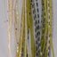 Bassman Carls Compact 5/8oz Spinnerbait [cl:#31]