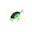 Jackall Chubby Bug 35 Lure [cl:matt Tiger]