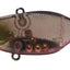 Jackall Tn60 Lipless Crankbait Lure [cl:ghost Black Red Belly]
