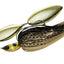 Jackall Dooon 1/2oz Spinnerbait [cl:maruhata Gold And Black]