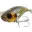 Jackall Pompadour 79mm Surface Lure [cl:gold Black Pirarucu]