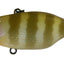 Jackall Tn60 Skull Shell Maruhata Sound Vibe Lure [cl:maruhata White Gill]