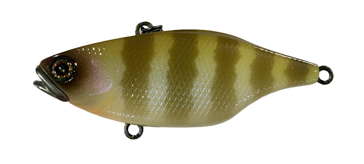 Jackall Tn60 Skull Shell Maruhata Sound Vibe Lure [cl:maruhata White Gill]