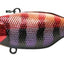 Jackall Tn60 Lipless Crankbait Lure [cl:benitama Gill]