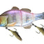 Jackall Gigantarel 200mm Swimbait Lure [cl:sexy Clear Pink Gill]