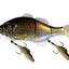 Jackall Gigantarel 200mm Swimbait Lure [cl:rt Silver Hera]