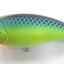 Jackall Mega Pompadour 120mm Lure [cl:jungle]