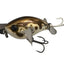 Jackall Micro Pompadour 42mm Lure [cl:brown Lizard]