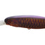 Jackall Sdd Squirrel 79 Hank Tune Jerkbait Silent Lure [cl:purple Koi]