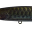 Jackall Sdd Squirrel 79 Hank Tune Jerkbait Silent Lure [cl:swamp Donkey]