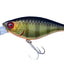 Jackall Soul Flat 58sf Crankbait Lure [cl:sk Champagne Gold Gill]