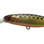 Jackall Squirrel 115sp Silent Jerkbait Lure [cl:hl Sparkle Gold Black]