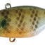 Jackall Tn60 Lipless Crankbait Lure [cl:sk Natural Gill]