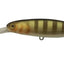 Jackall Sdd Squirrel 79 Hank Tune Jerkbait Silent Lure [cl:brown Dog Gill]