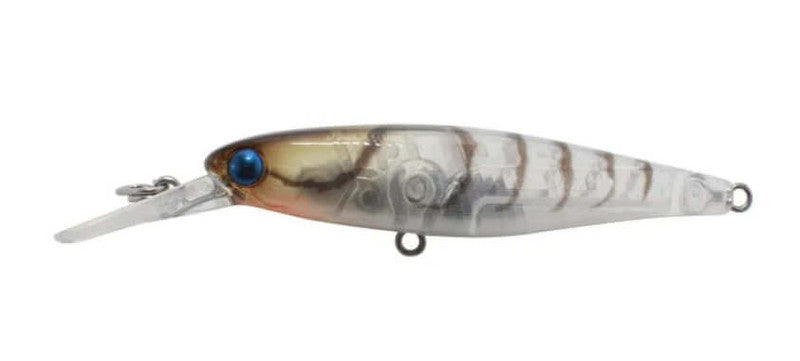 Jackall Squirrel 61 Silent Jerkbait Lure [cl:rt Maruhata Secret Ayu]