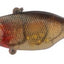 Jackall Tn60 Lipless Crankbait Lure [cl:mamo Shrimp]
