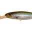Jackall Sdd Squirrel 79 Hank Tune Jerkbait Silent Lure [cl:crappie]