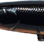 Jackall Sdd Squirrel 79 Hank Tune Jerkbait Rattle Lure [cl:panther]