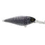 Jackall Super Squirrel 79 Flat Sp Silent Lure [cl:king Of The Night]