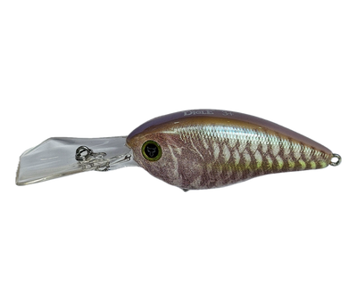 Jackall Digle 3+ Crankbait Lure [cl:sk Pearl King]