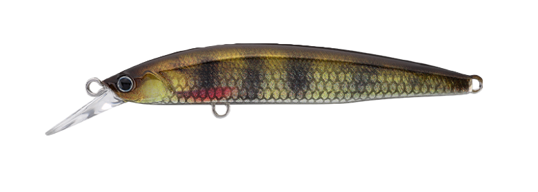 Jackall Rerange 85sp Mr Jerkbait Lure [cl:lively Perch]
