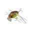 Jackall Chubby Bug 35 Lure [cl:clear Lime Kogane]