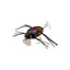 Jackall Chubby Bug 35 Lure [cl:rainbow Beetle]